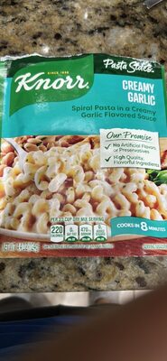 Spiral Pasta in a Creamy Garlic Flavored Sauce