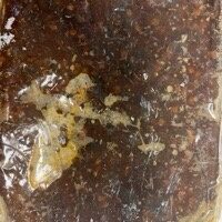 Sugo di Peposo