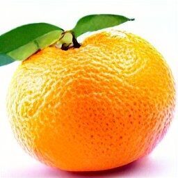 Clementine Oranges, Fresh