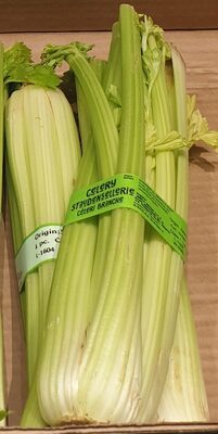 ALDI GEMÜSE Stangen Sellerie GTIN 20341855