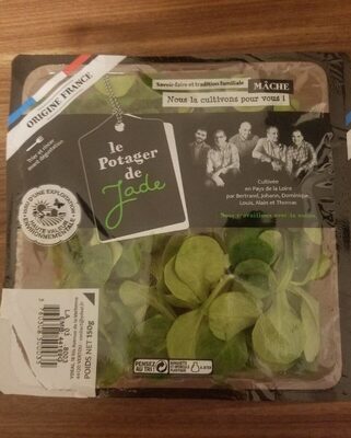 Agrieuropa Feldsalat