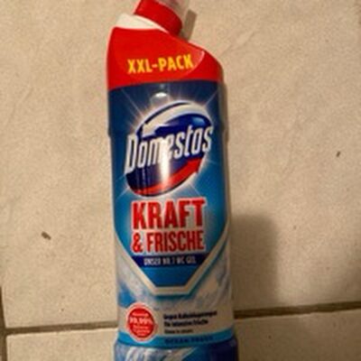 Domestos Kraft & Frische WC Gel