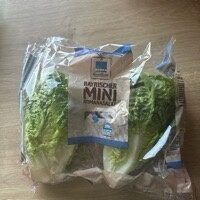 Edeka Heimatliebe Mini Romanasalat